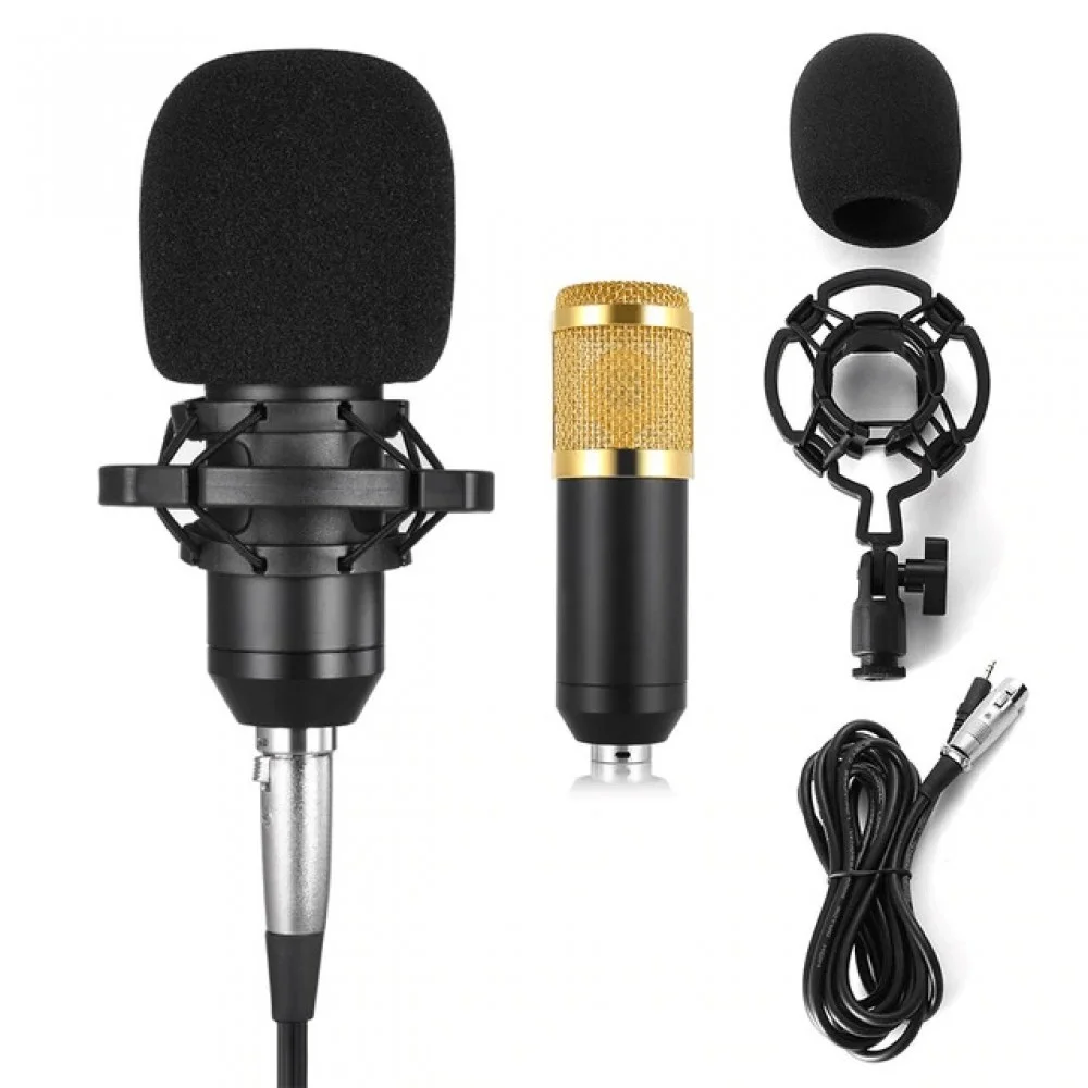 BM800 Microphone